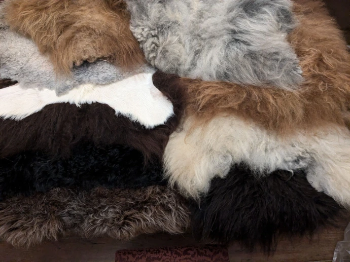 sheep skins