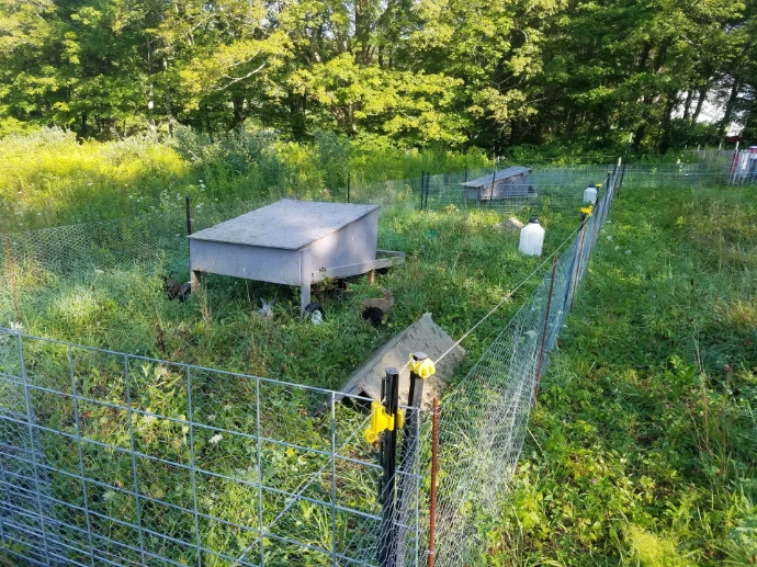 rabbit hutch on pasture
