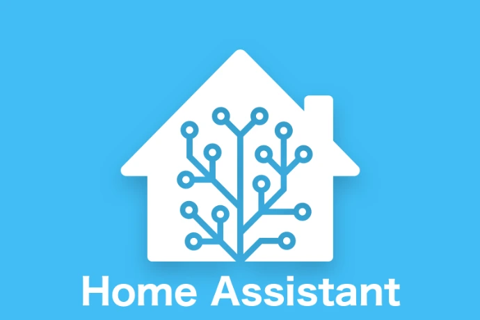 home assistant