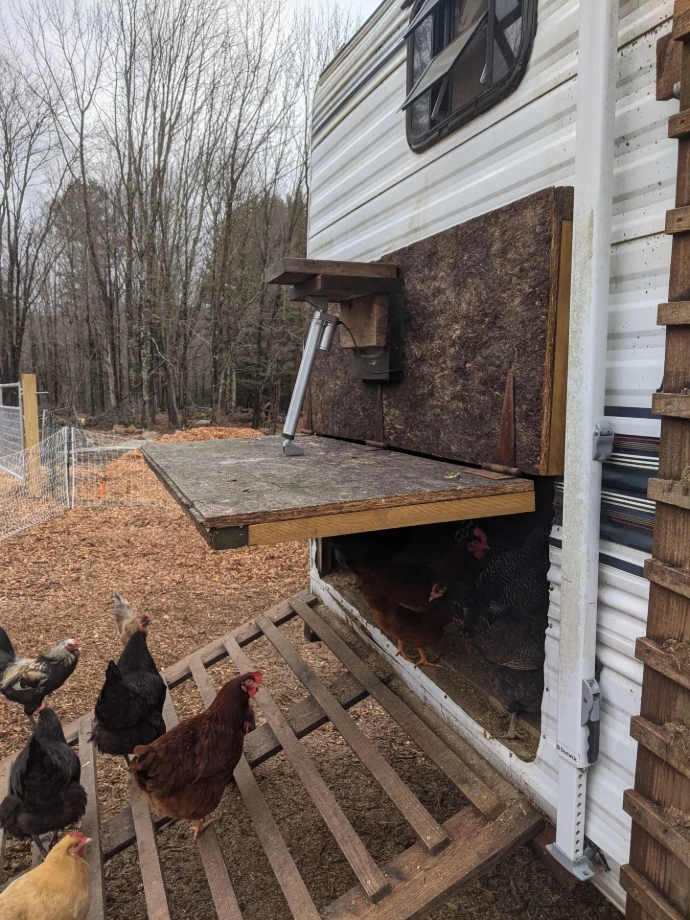 chicken coop door