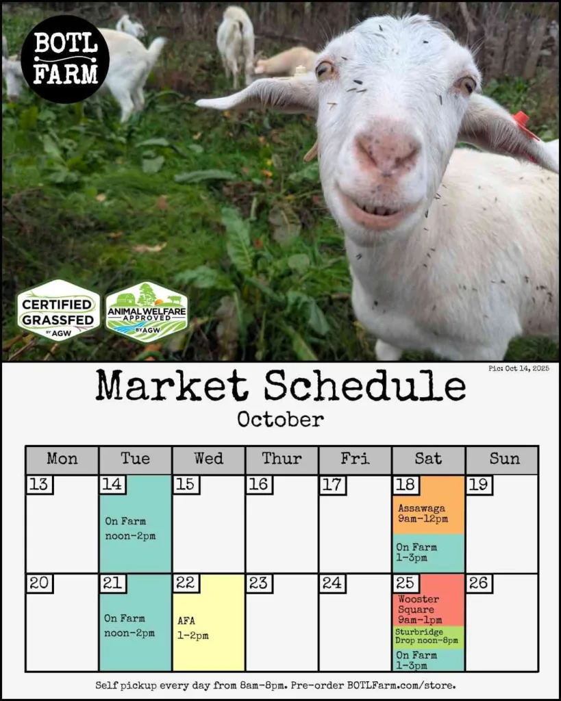 Sometimes we wonder how seeds spread. Then we look at our goats in the fall and wonder no more. #cornfree #soyfree #animalwelfareapproved #organicfed #pastureraised #nongmo #grownconnected #ctgrown #BOTLFarm